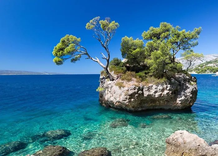 Διαμέρισμα Indigo